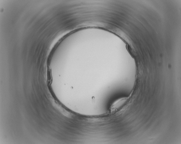 X0000077401132200611172057