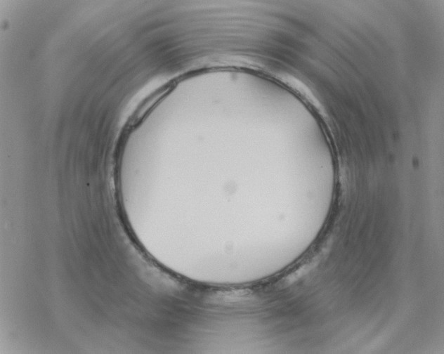 X0000077401133200611172057