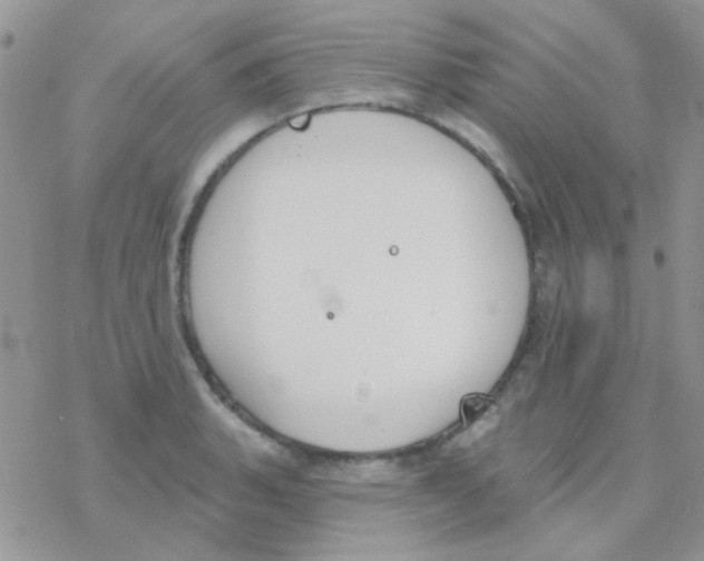 X0000077401135200611172057