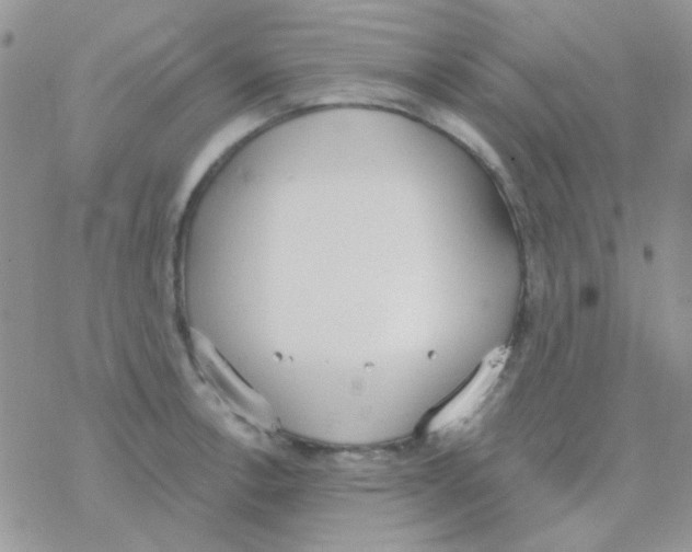 X0000077401138200611172057