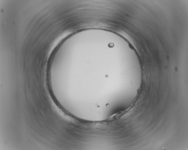 X0000077401139200611172057