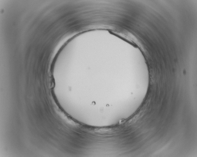 X0000077401140200611172057