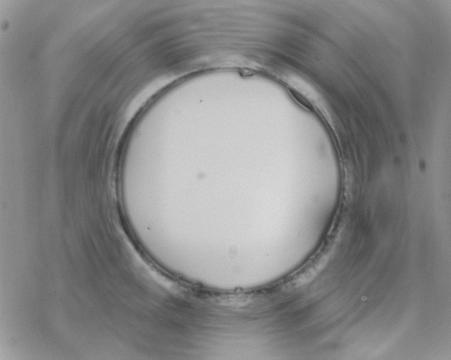 X0000077401141200611172057