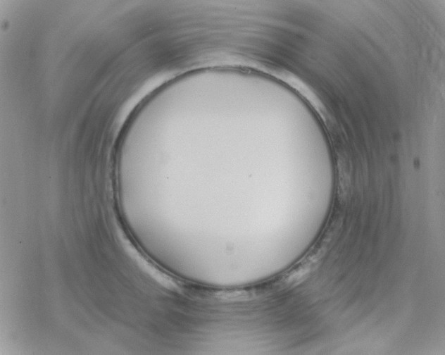 X0000077401142200611172057