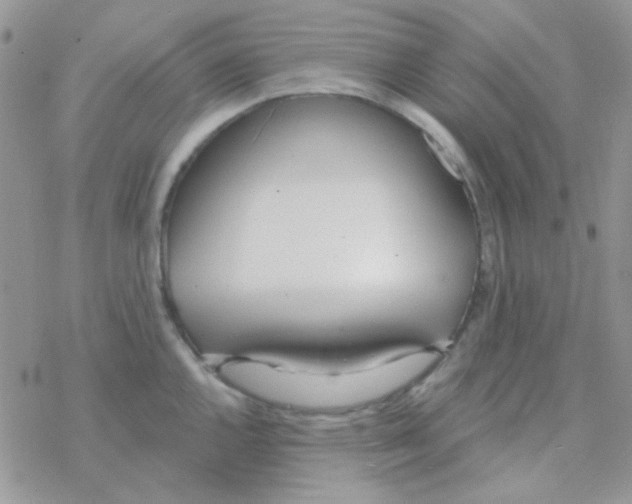 X0000077401144200611172057