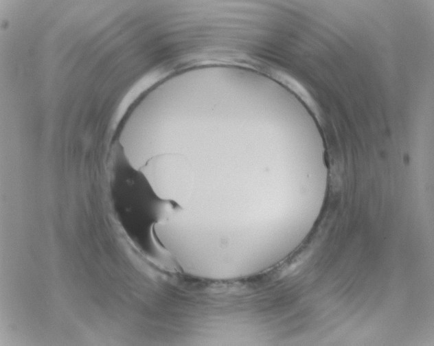 X0000077401146200611172057