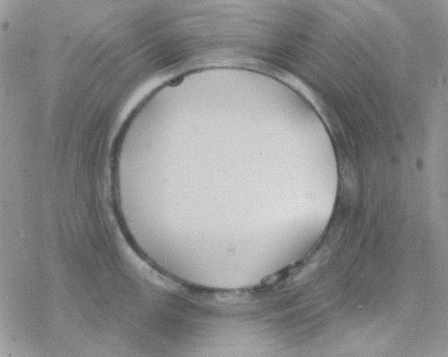 X0000077401147200611172057