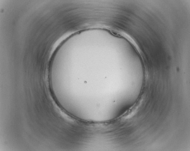 X0000077401149200611172057