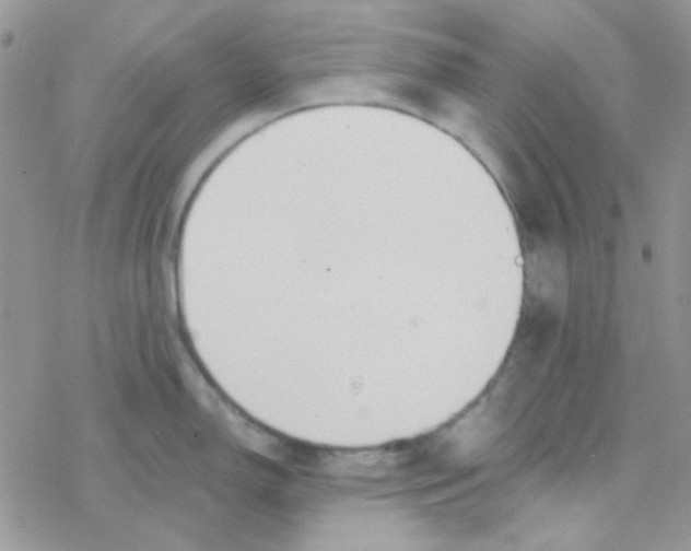 X0000077401150200611172058