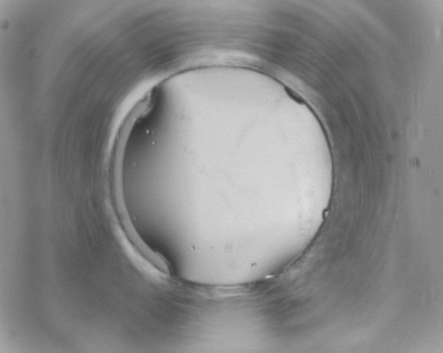 X0000077401152200611172058