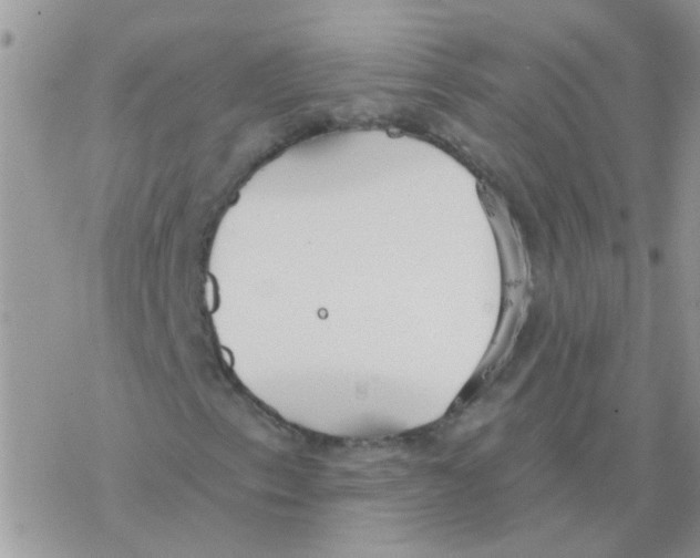 X0000077401153200611172057