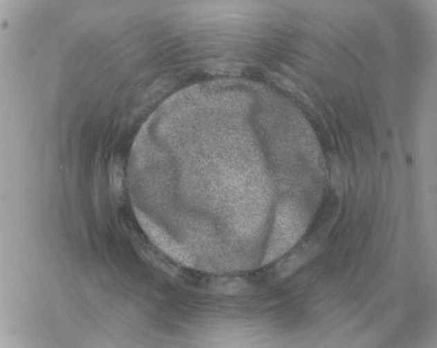 X0000077401154200611172057