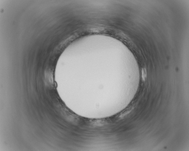 X0000077401155200611172057