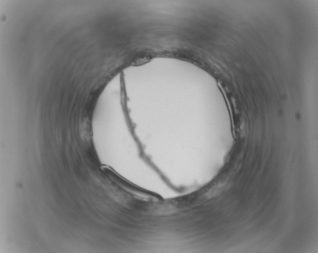 X0000077401156200611172057