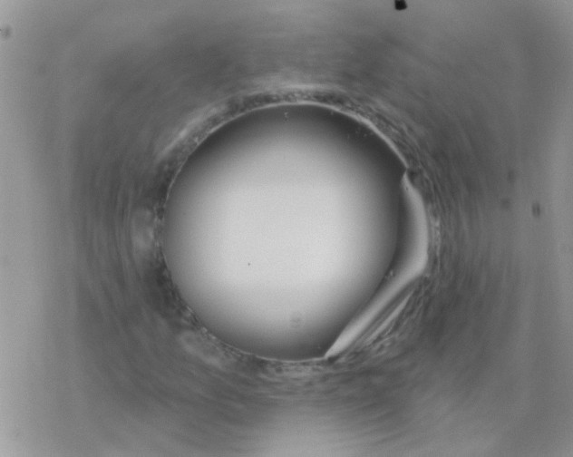 X0000077401157200611172057