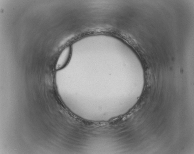 X0000077401158200611172057