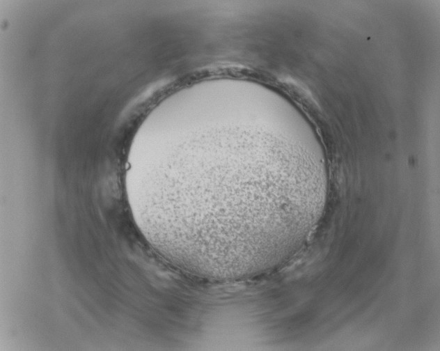 X0000077401159200611172057