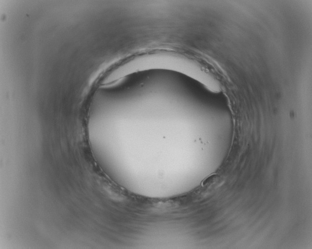 X0000077401160200611172057