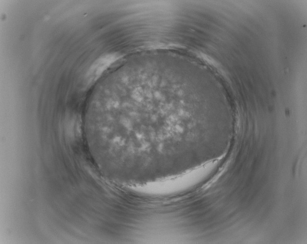 X0000077401161200611172057