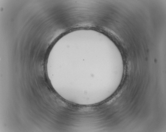 X0000077401162200611172057