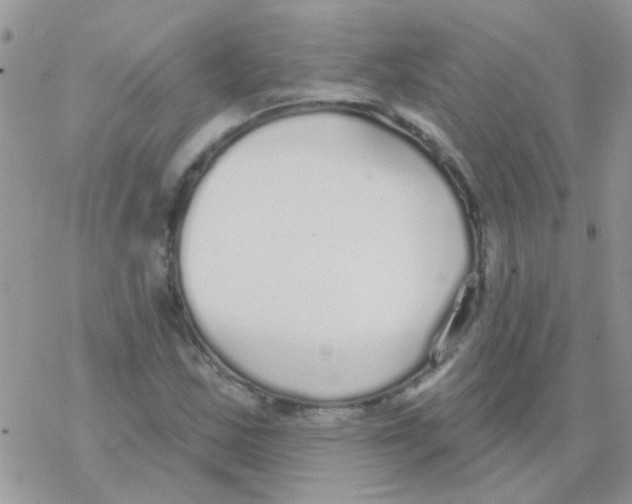 X0000077401163200611172057