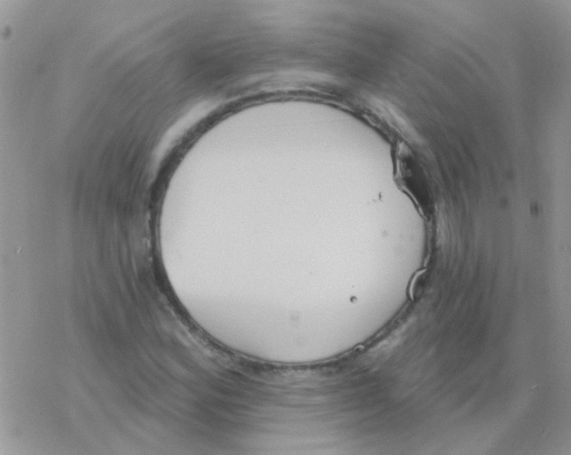 X0000077401164200611172057