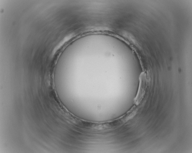 X0000077401165200611172057