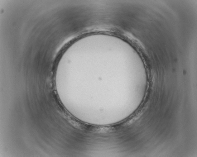 X0000077401166200611172057