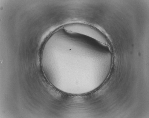 X0000077401167200611172057