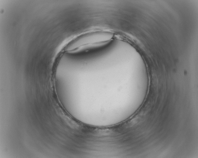 X0000077401168200611172057