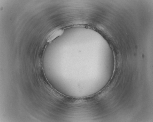 X0000077401169200611172057