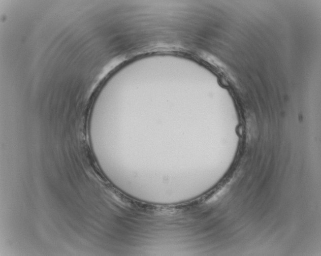 X0000077401170200611172056