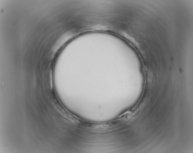 X0000077401171200611172056