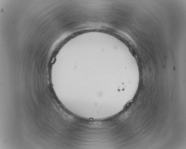 X0000077401172200611172056