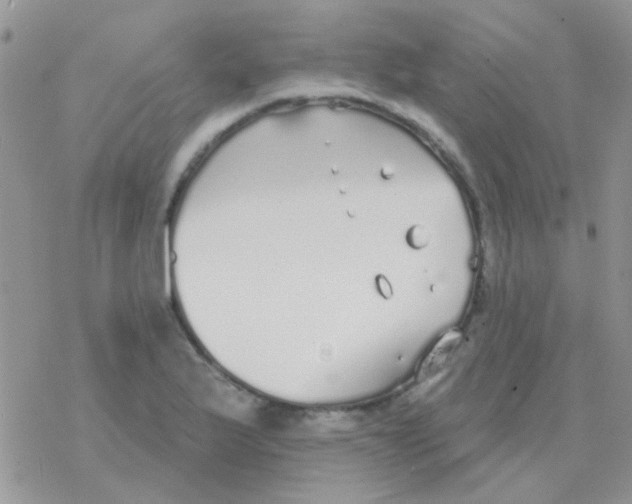 X0000077401175200611172056