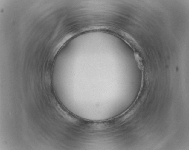 X0000077401177200611172056