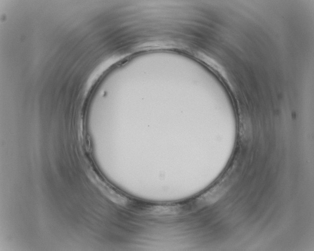 X0000077401179200611172056