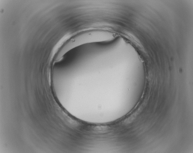 X0000077401180200611172056