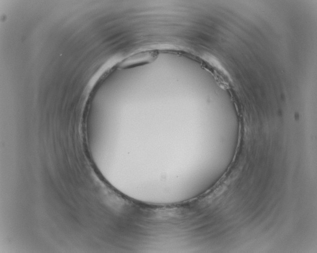 X0000077401181200611172056