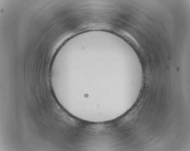 X0000077401182200611172056