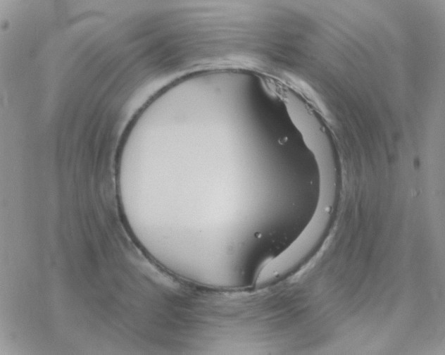 X0000077401184200611172056