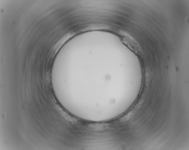 X0000077401185200611172056