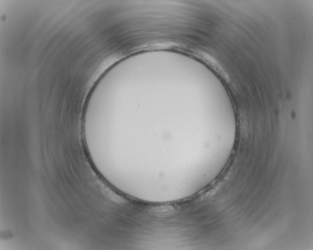 X0000077401186200611172056