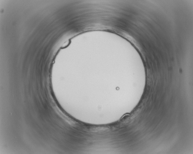 X0000077401187200611172056