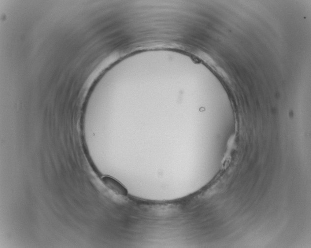 X0000077401189200611172056