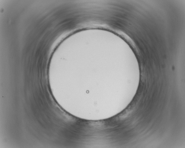 X0000077401191200611172056