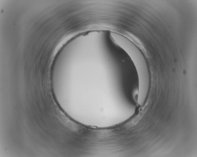 X0000077401192200611172056