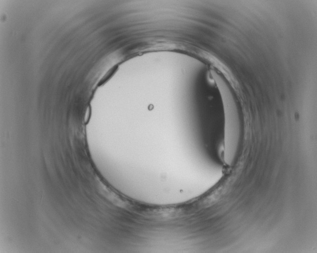 X0000077401193200611172056