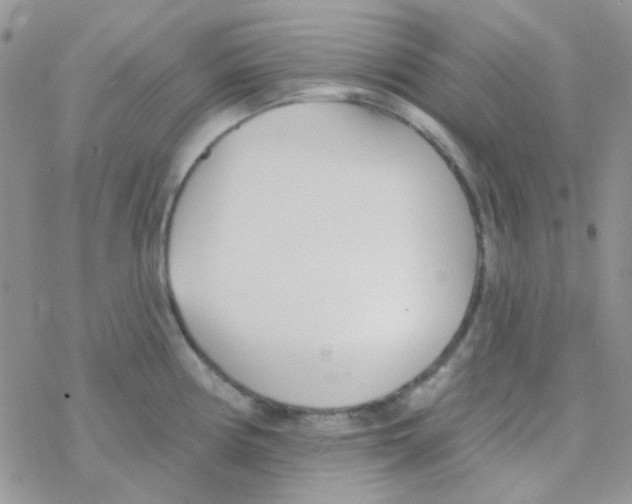 X0000077401194200611172056