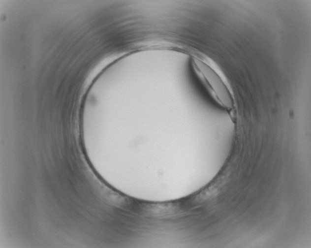 X0000077401195200611172056